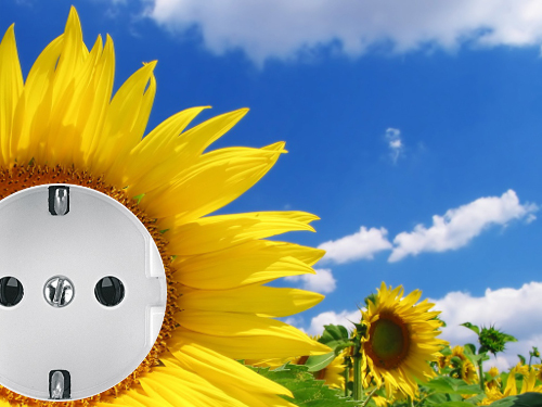 Sonnenblume mit Steckdose
